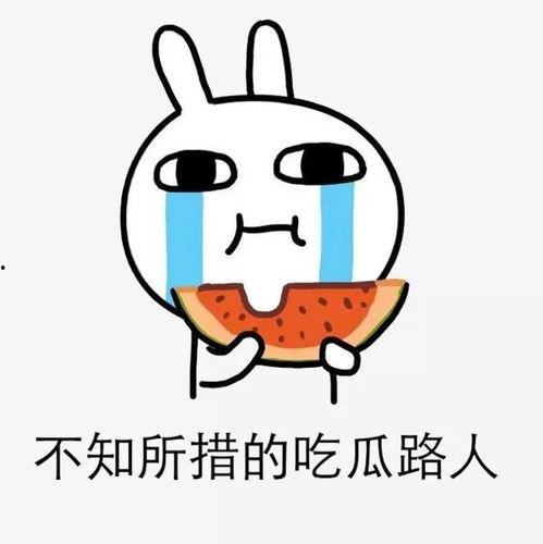 娱乐吃瓜酱没有那么惨,揭秘“没有那么惨”背后的真相与反思